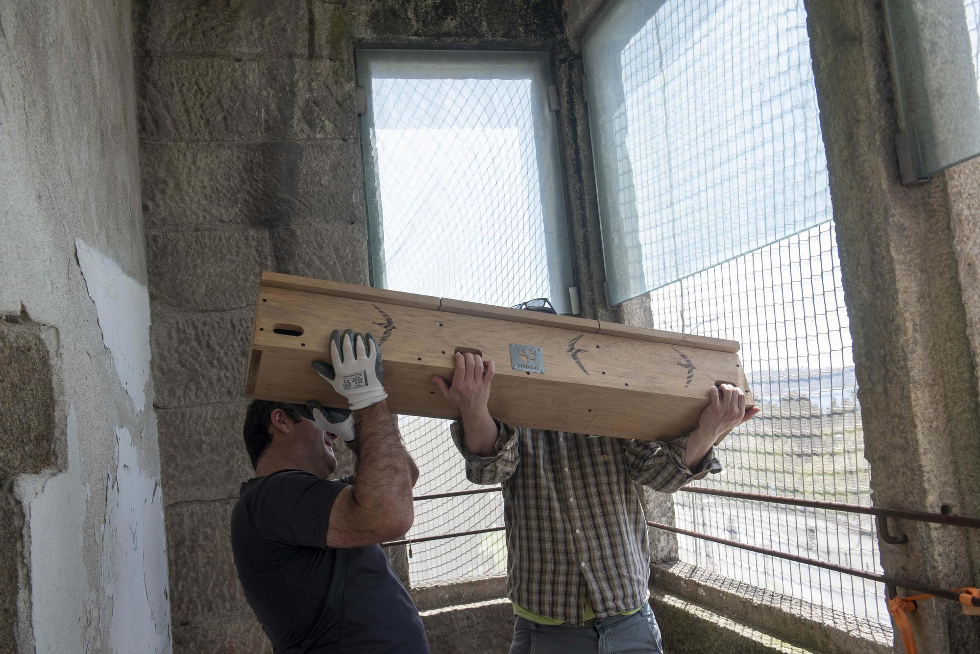 Nuevos hogares para los vencejos en el jardín de San Carlos