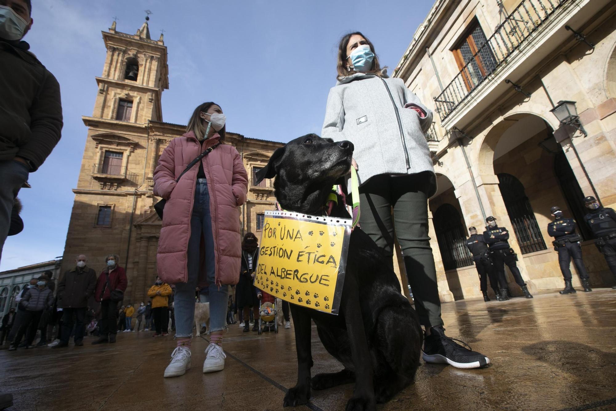 Protesta contra la nueva gestora del albergue de animales de La Bolgachina.