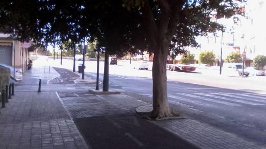 Valencia | Árboles peligrosos en el Camino de las Moreras