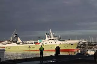 «Pocas capturas»: Malvinas echa el cerrojo a la pesquería de calamar para los 16 buques de capital gallego
