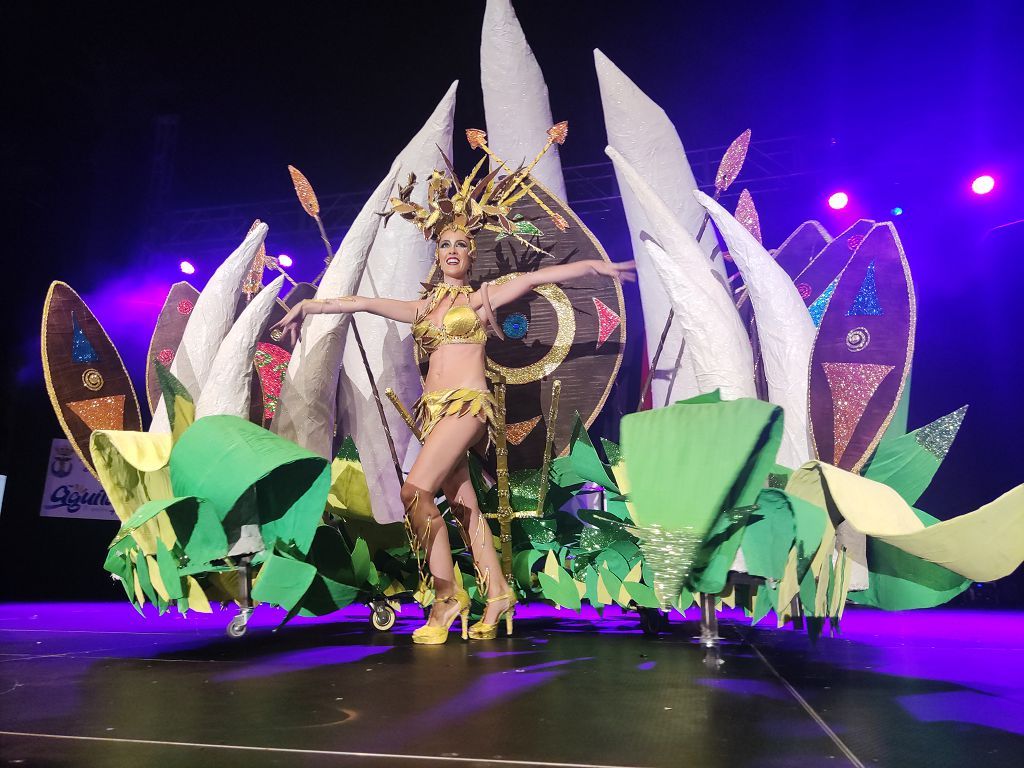 Gala Trajes de Papel del Carnaval de Águilas