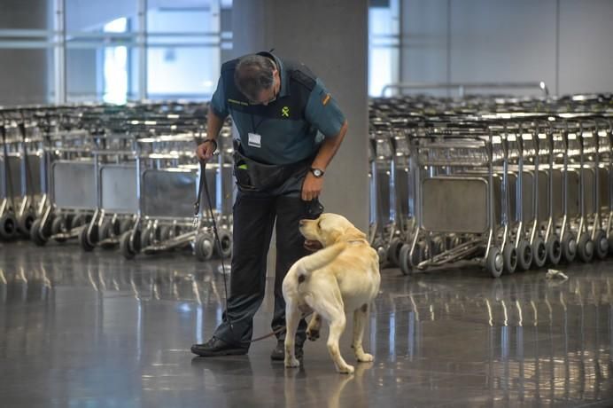 REPORTAJE UNIDAD CANINA AEROPUETO DE GRAN CANARIA