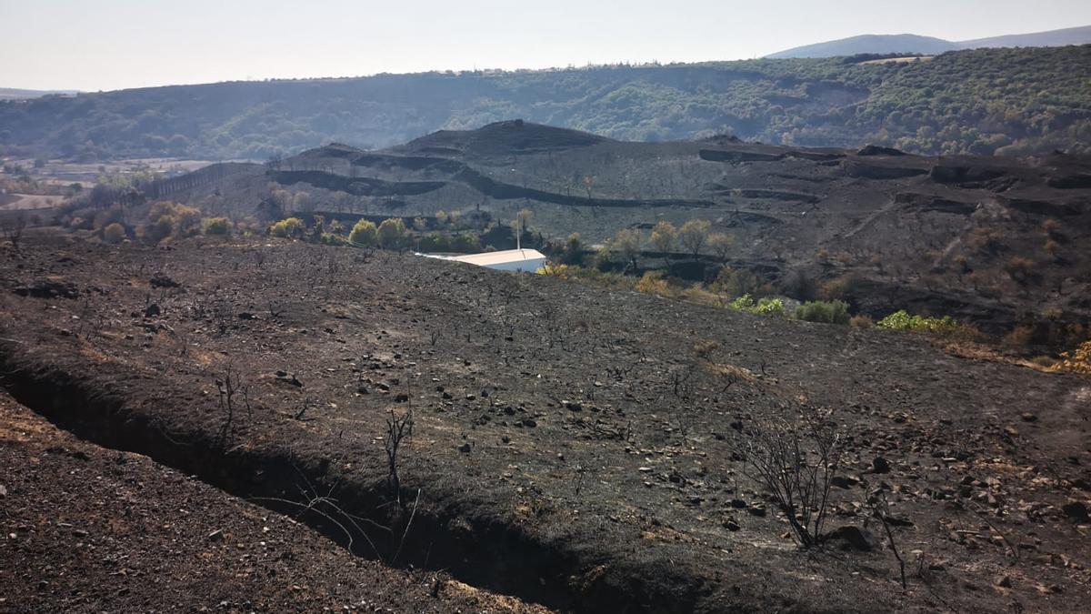 Campos de Añón de Moncayo, arrasados por las llamas del Incendio del Moncayo