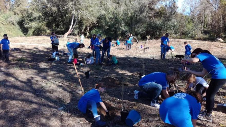 Los voluntarios trabajan en Paterna.