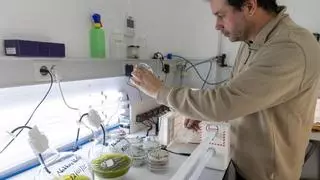 Sanidad pone en marcha un estudio para conocer la exposición de la población a compuestos químicos