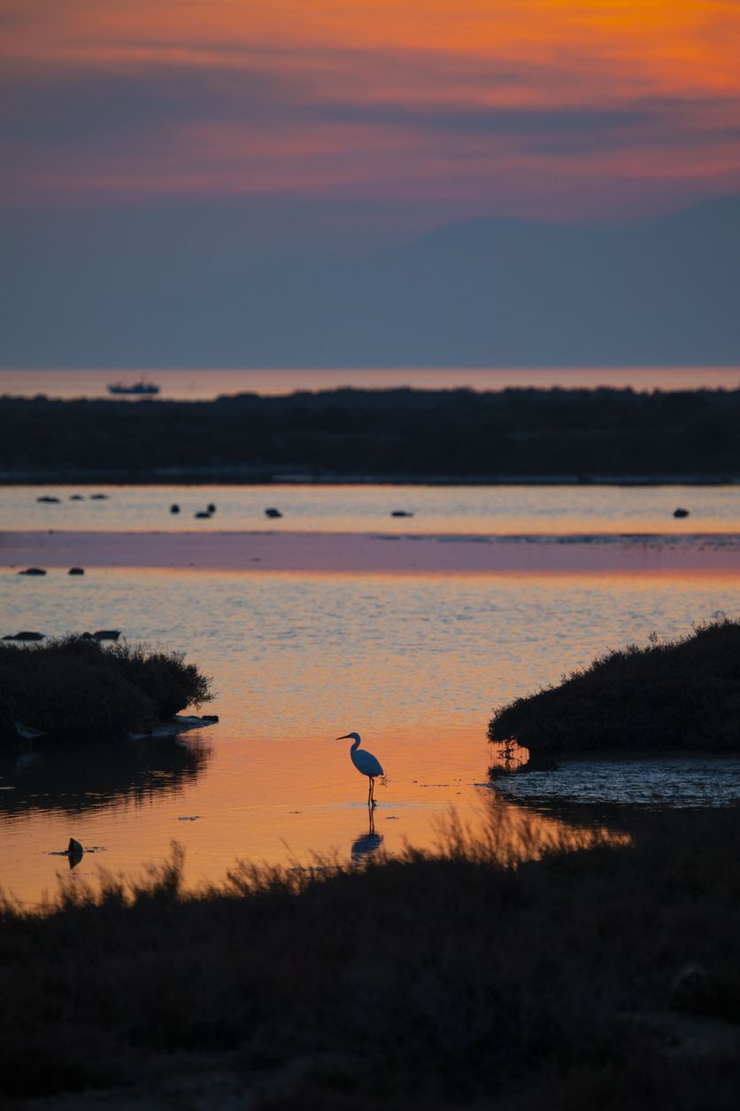 El delta al amanecer es único