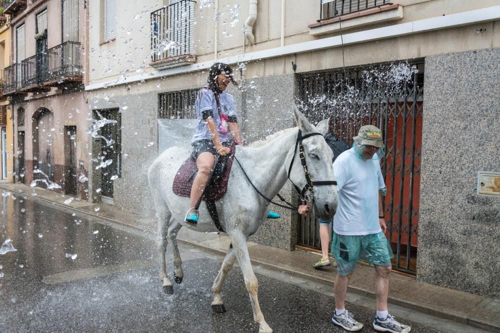 Els Elois se salven de la pluja, però no de l'aigua