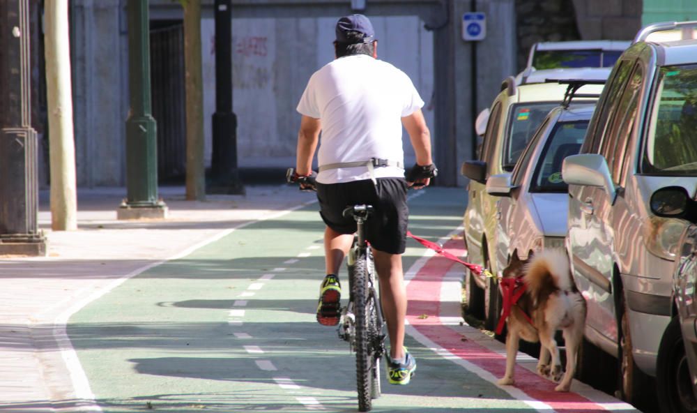 Primera jornada de salidas deportivas y paseo