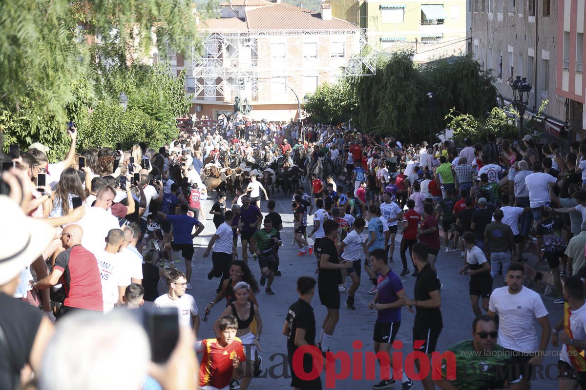 Quinto encierro de las Fiestas de Moratalla