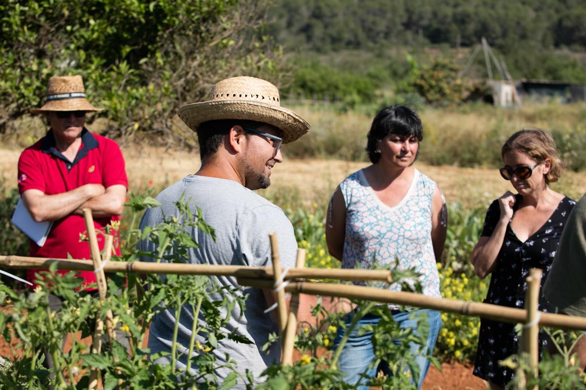 Finca ecológica Tierra de Ibiza