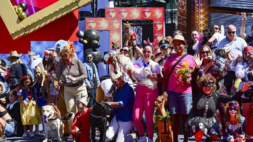 El Carnaval Canino 2025: el desfile más tierno y original regresa a Santa Catalina
