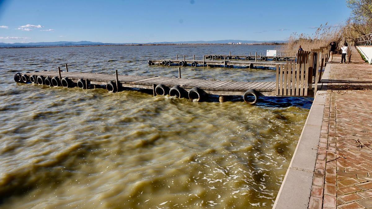 L'Albufera se tiñe de marrón
