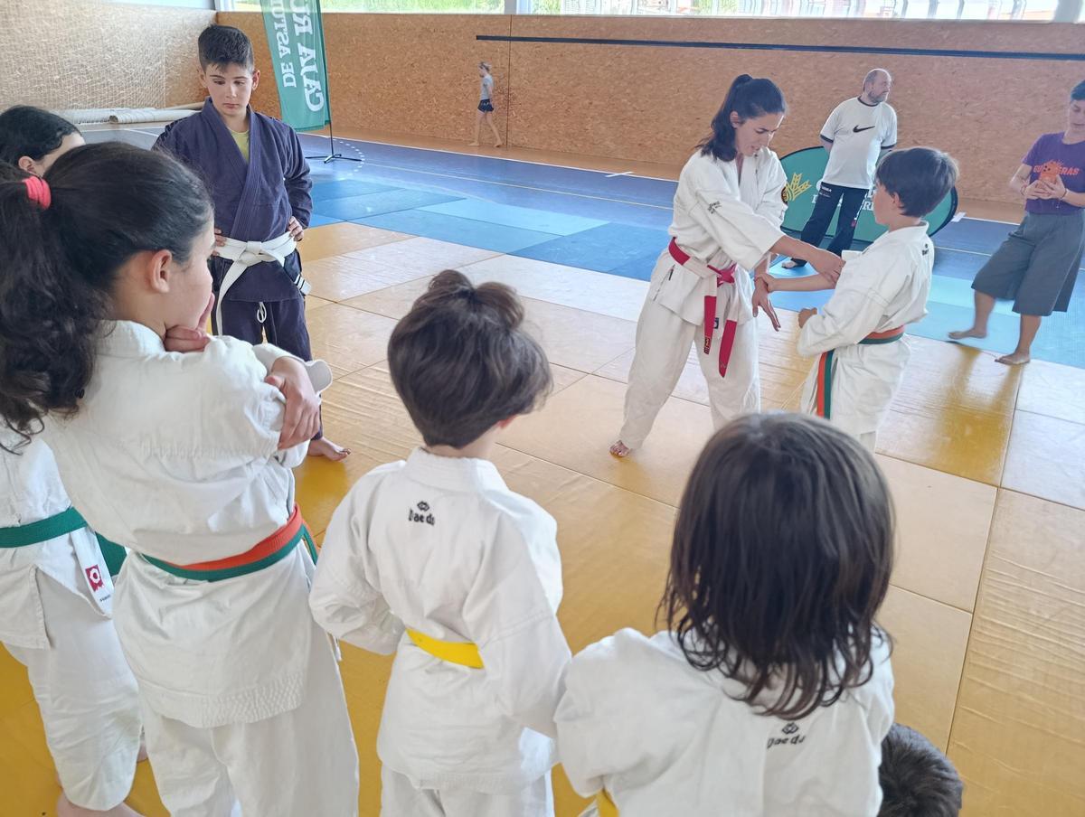 La Fresneda, en Siero, "feminiza" los tatamis de su polideportivo