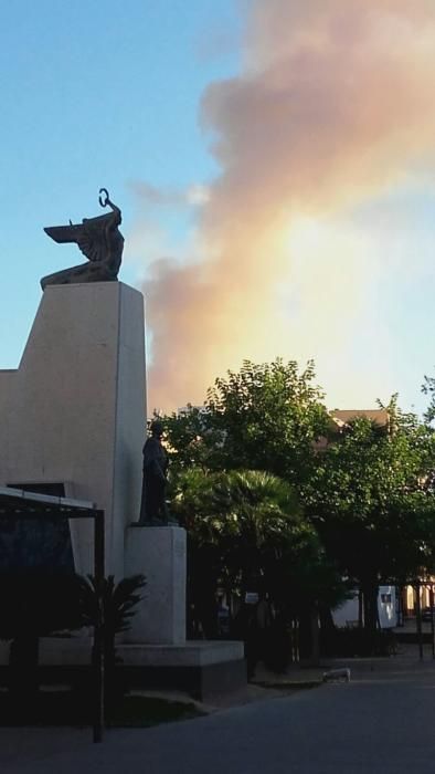 Incendio forestal en Benifairó de les Valls.