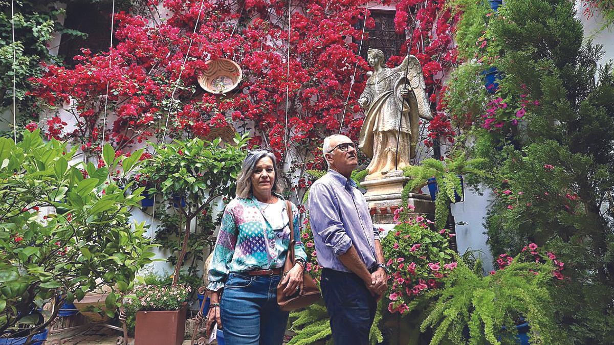 Plaza de San Rafael 7