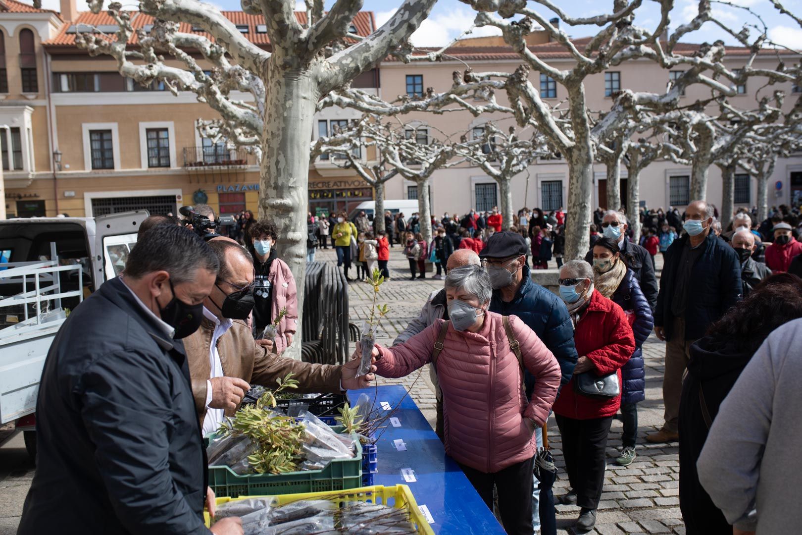 GALERÍA | La Diputación de Zamora celebra el Día del Árbol