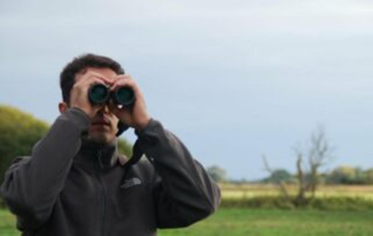 Evaluación de aves cinegeticas CAM Fundación Artemisan.