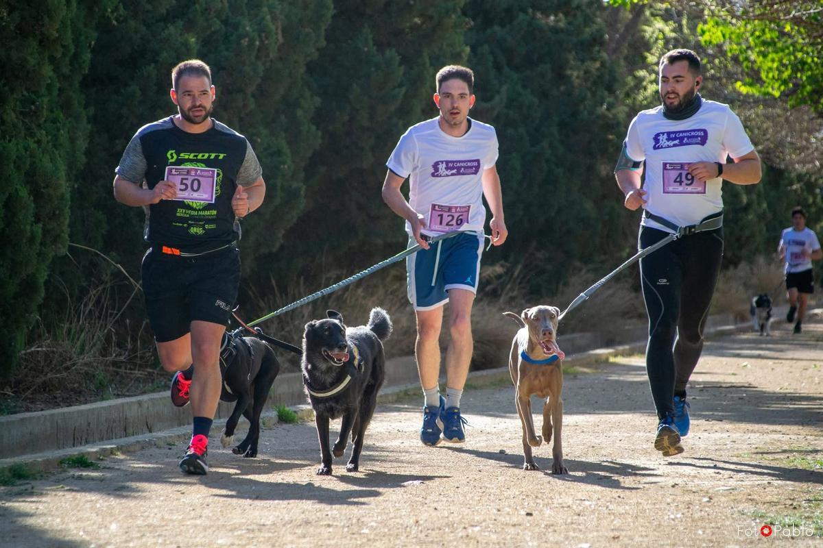 Foto de tres participantes en uno de los Canicross pasados