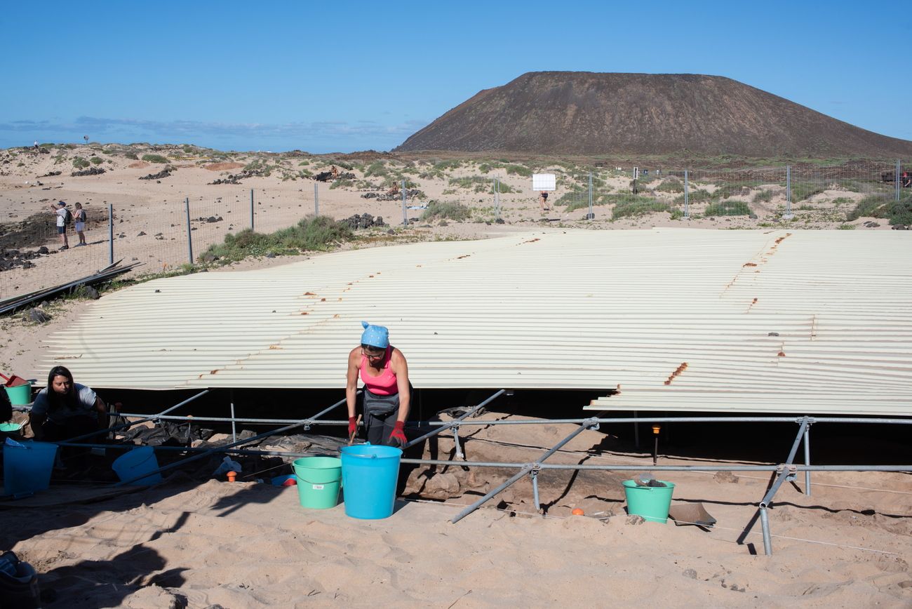 Retoman los trabajos en el yacimiento arqueológico Lobos I