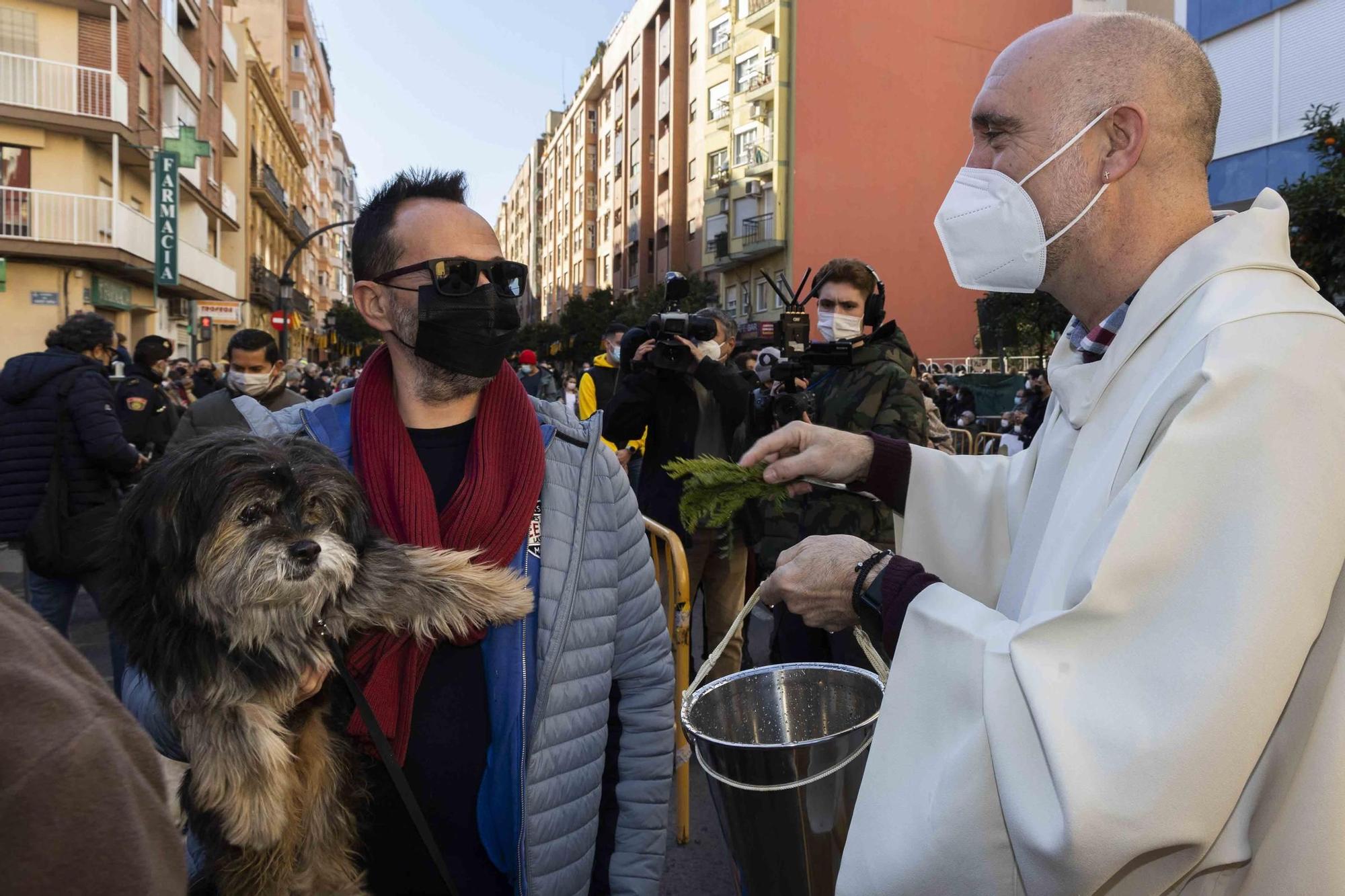 Búscate en la bendición de animales de Sant Antoni