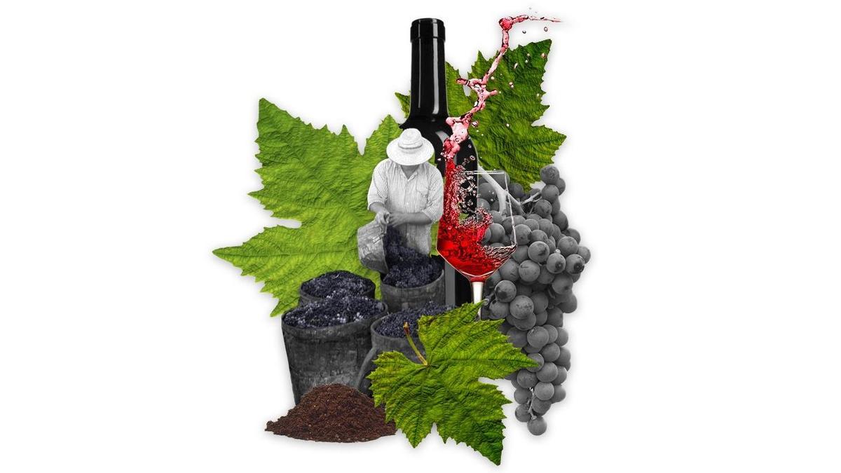 DO Pla i Llevant organiza la segunda edición del Concurso de Cata de vinos por parejas".