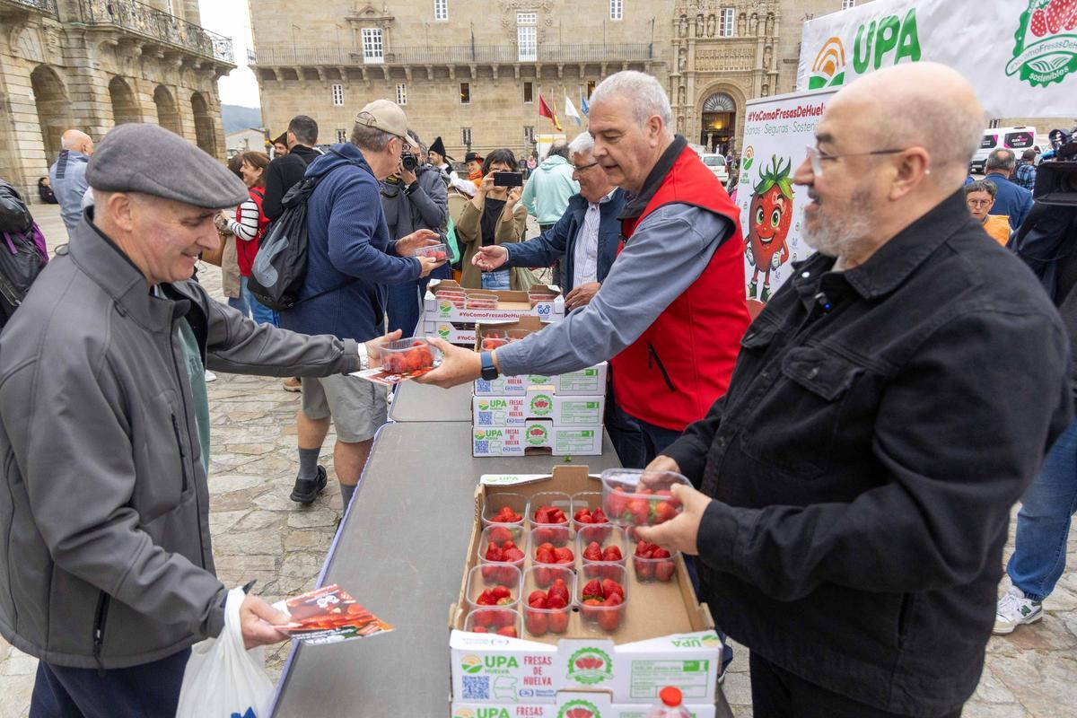 Reparten fresas de Huelva en la plaza del Obradoiro para promover su "calidad y garantía"