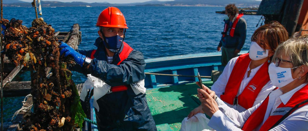 La directora del Intecmar, Covadonga Salgado, y la conselleira de Mar, Rosa Quintana, recogiendo muestras en batea para el control de biotoxinas.   | //  IÑAKI ABELLA