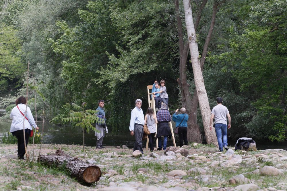 Girona floreix amb «Temps de Flors»