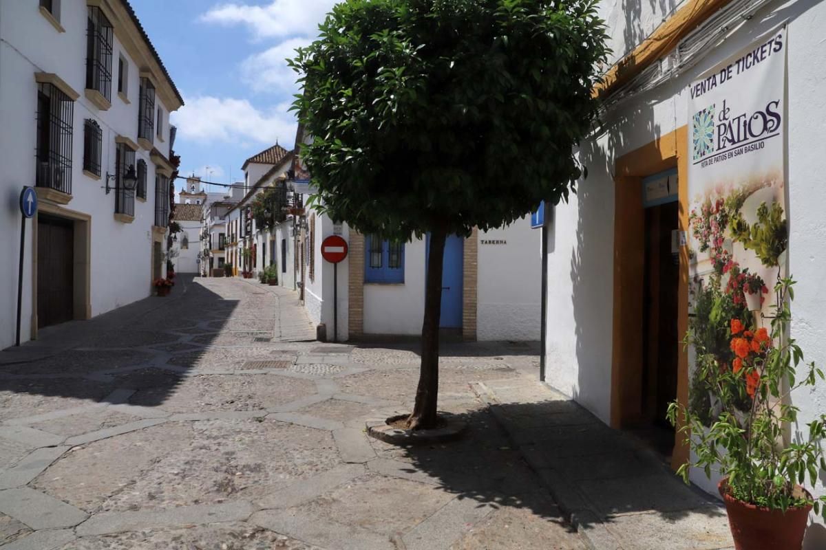 Paseo por el Alcázar Viejo durante la crisis del coronavirus