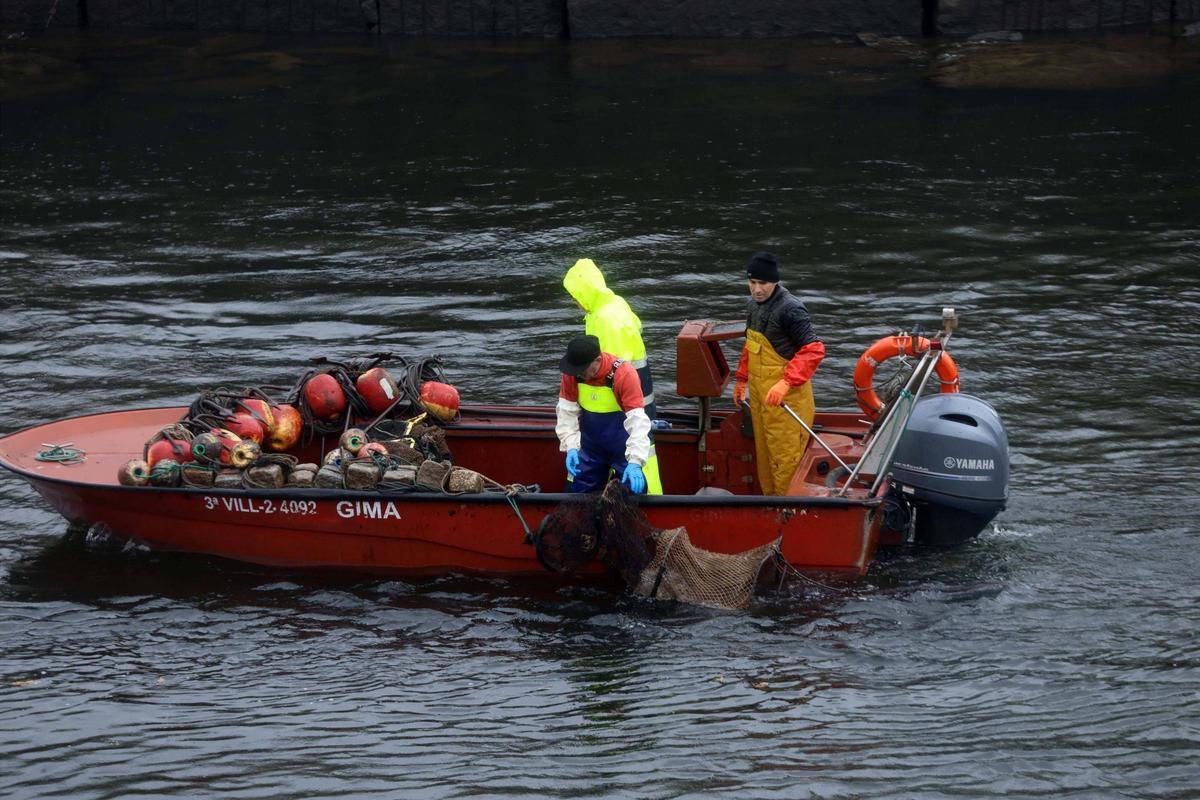 La pesca de lamprea en el Ulla.