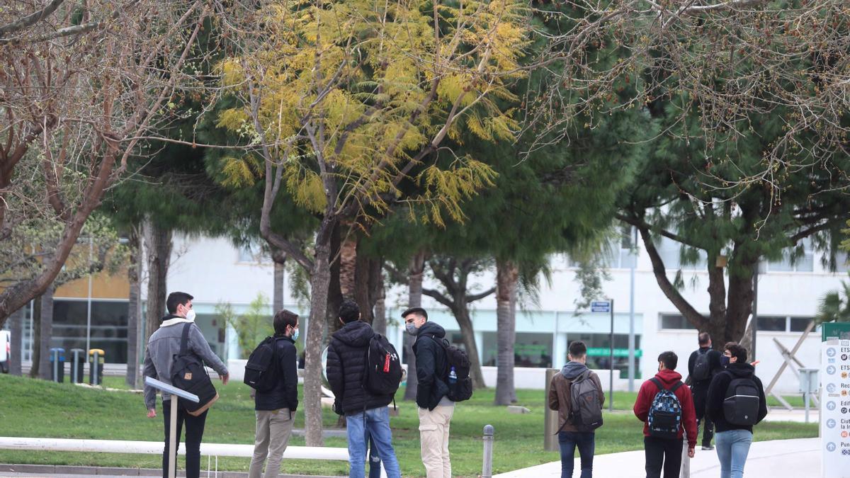 Varios estudiantes en el campus de la Universitat Politécnica de València (UPV)