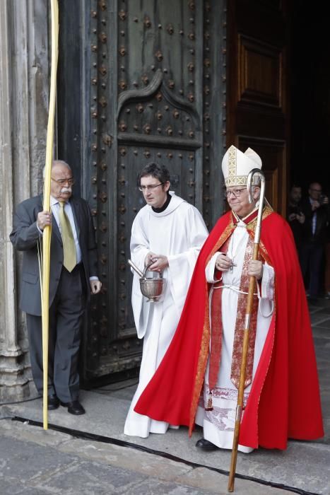 Benedicció de Rams a la Catedral de Girona