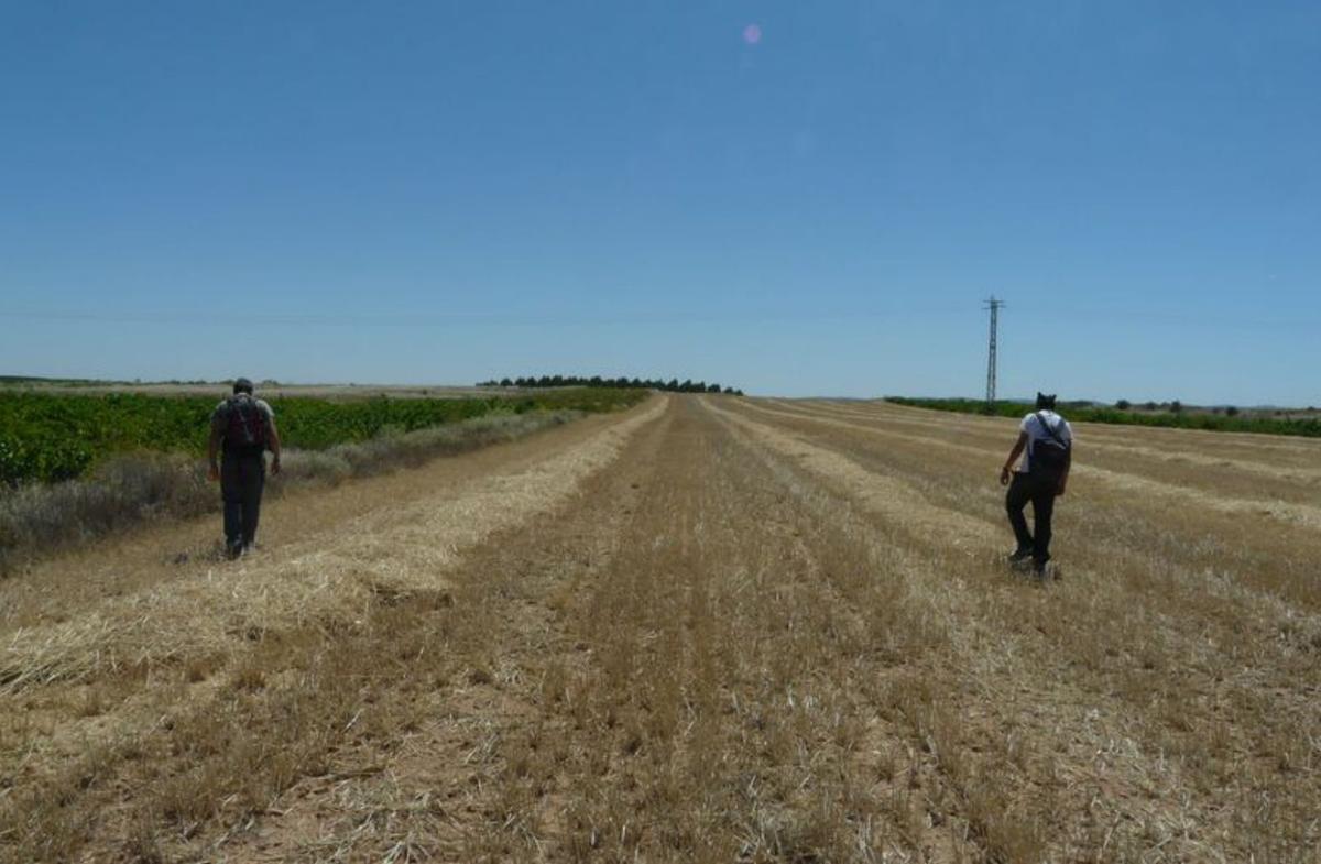 Variscita, el adorno de las élites que Quiruelas de Vidriales producía hace 4.800 años