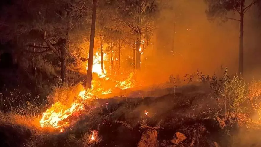 Vídeo | El operativo de extinción del Infoar en el incendio de Las Peñas de Riglos