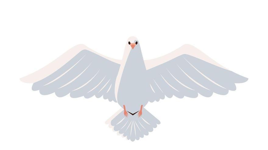 La paloma que se equivocaba