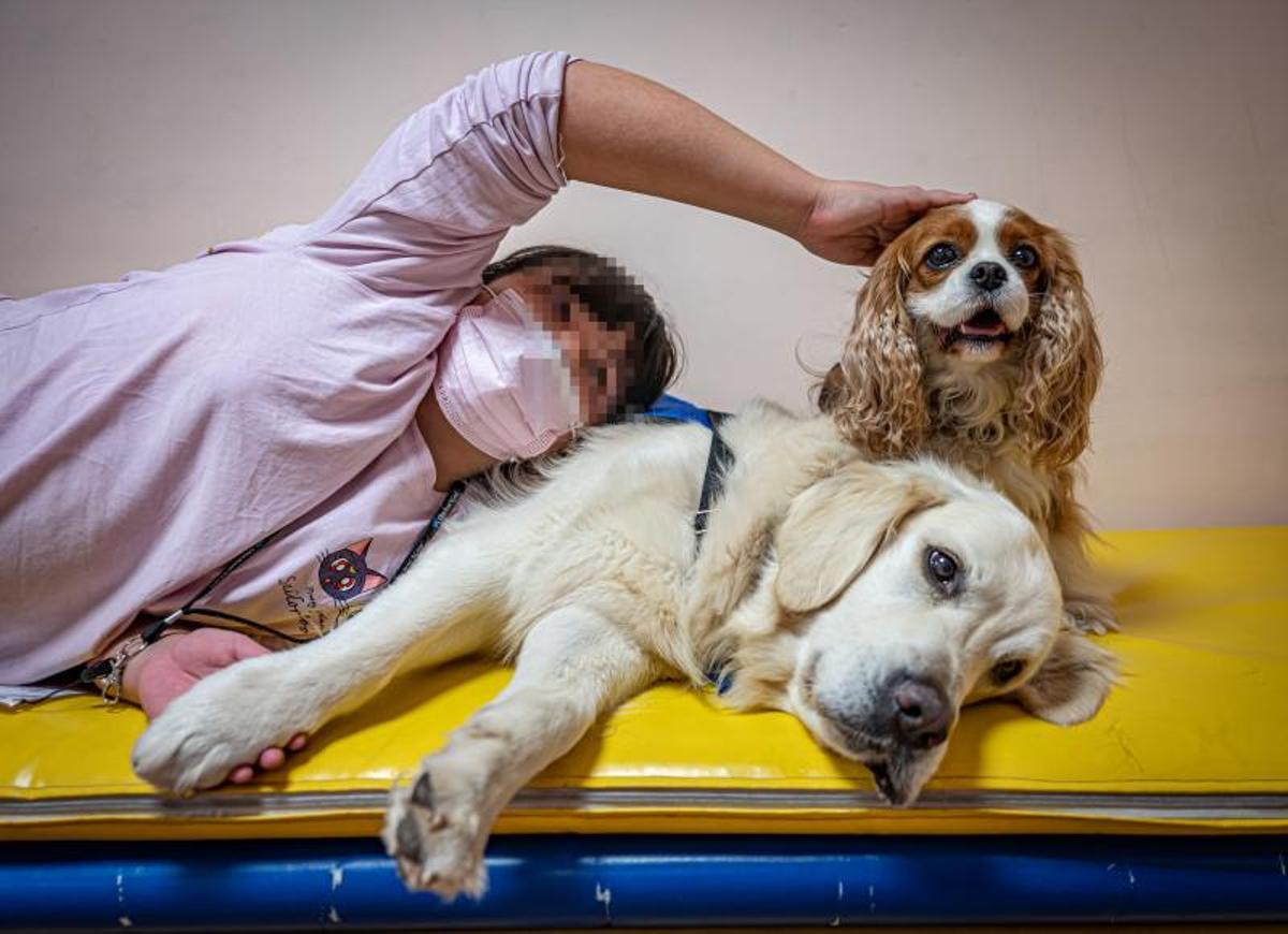 Terapia con perros, en el hospital de día de niños, en el Clínic