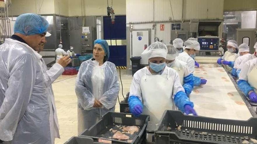 Ana Pastor durante su visita a las instalaciones de Clavo, en Caldas. // FdV