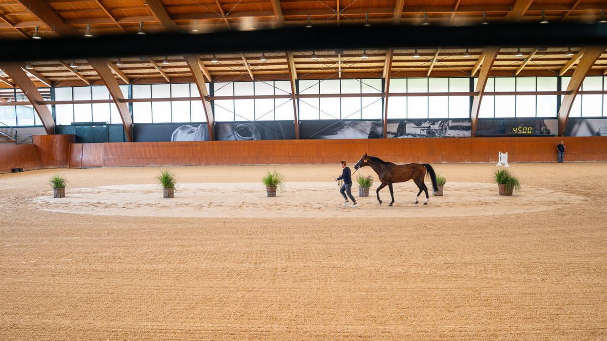 Arranca en Casas Novas el Concurso de Saltos Internacional de A Coruña