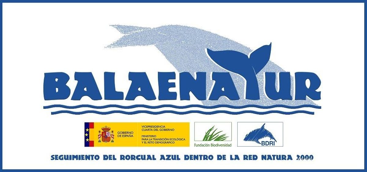 España elige las Rías Baixas para estudiar los movimientos de la ballena azul