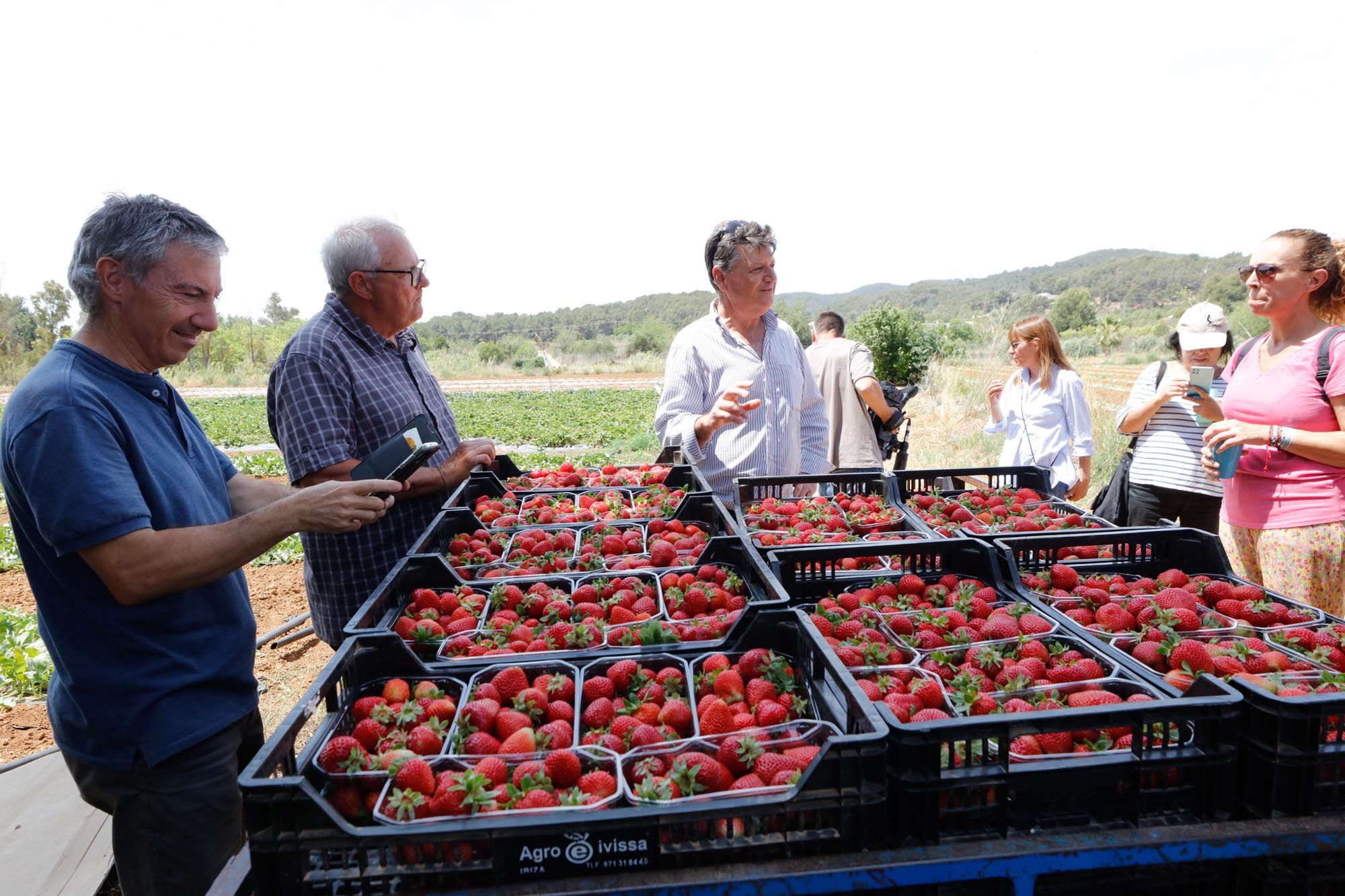 Visita guiada a la finca hortícola de Can Pol en Ibiza