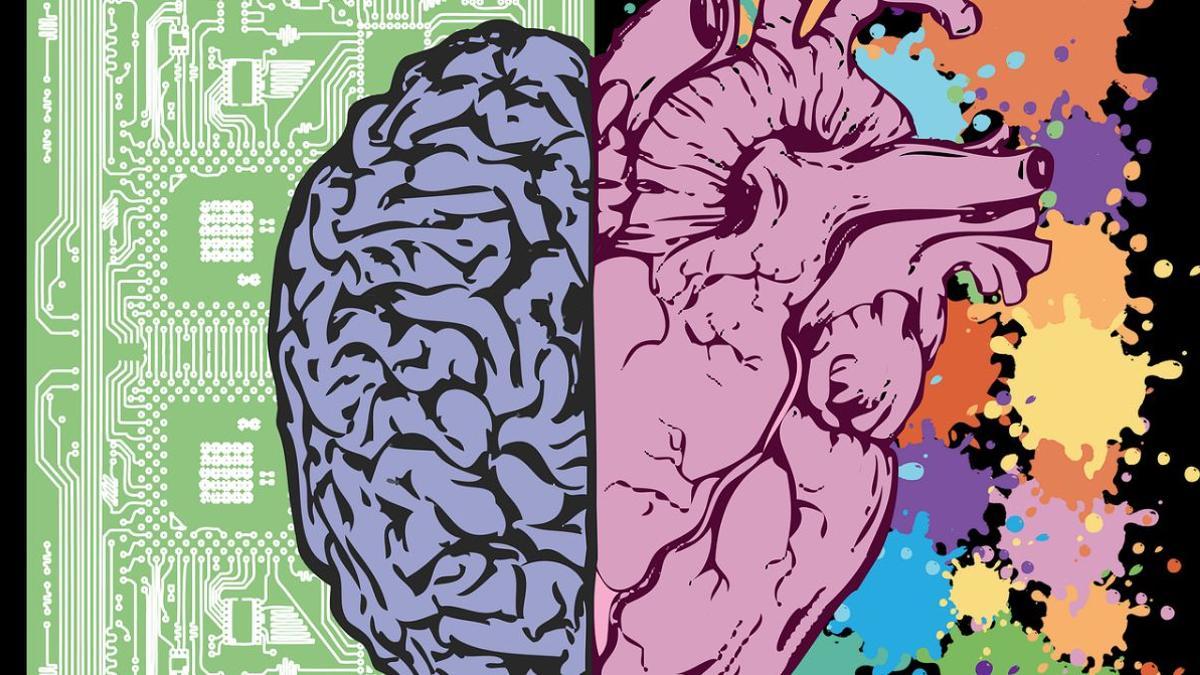 Una estructura que funciona como un “cerebro” coordina la actividad del corazón.