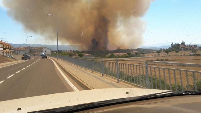 Incendi forestal a Sant Feliu Sasserra