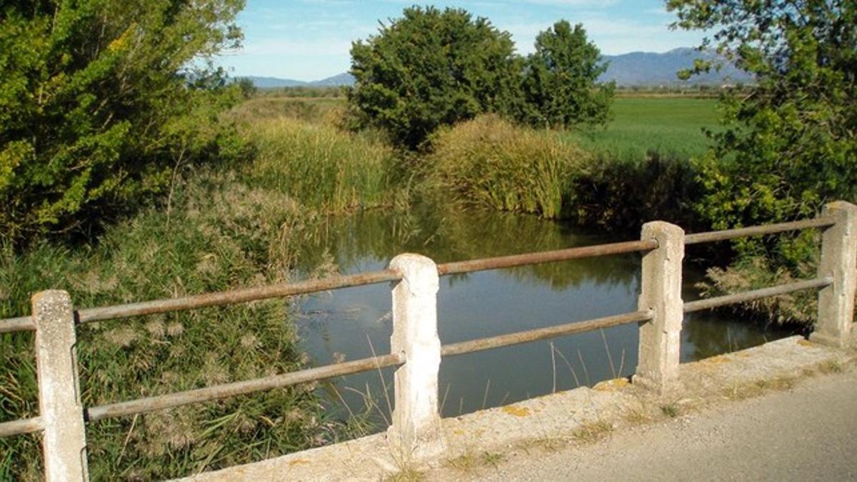 Fragmento del camino que atraviesa los Aiguamolls de l'Empordà entre Castelló d¿Empúries y Palau-saverdera