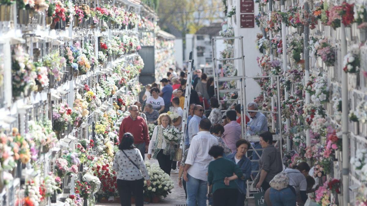 Imagen de archivo cementerio de Nuestra Señora de La Salud.