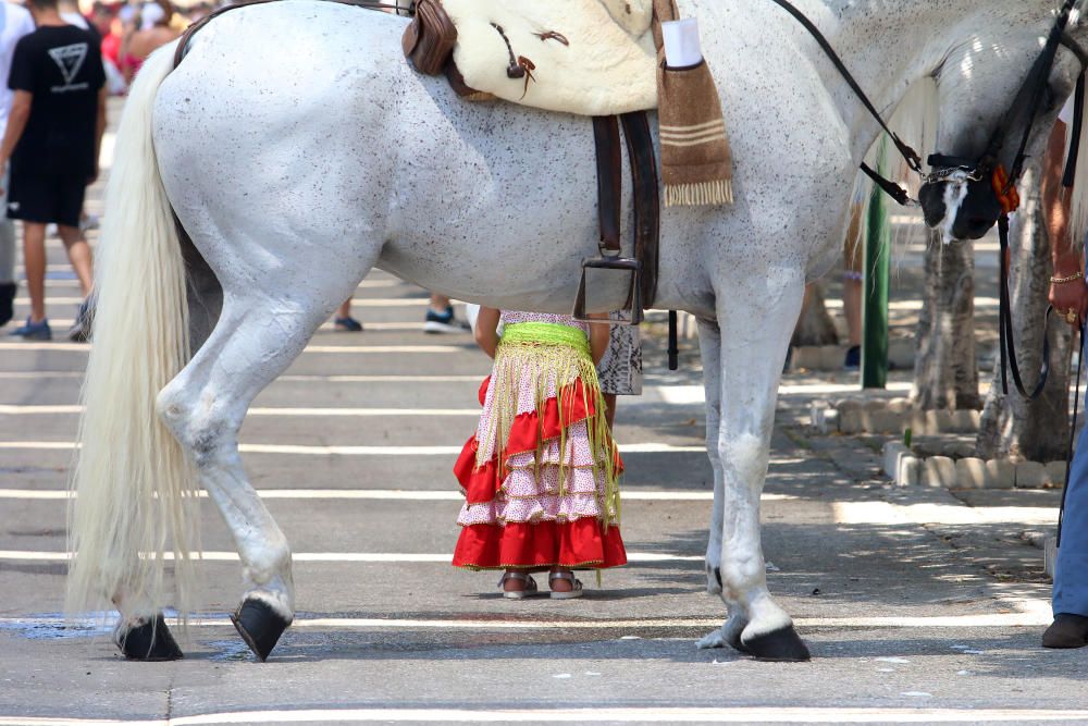 Caballos en el Real de la Feria