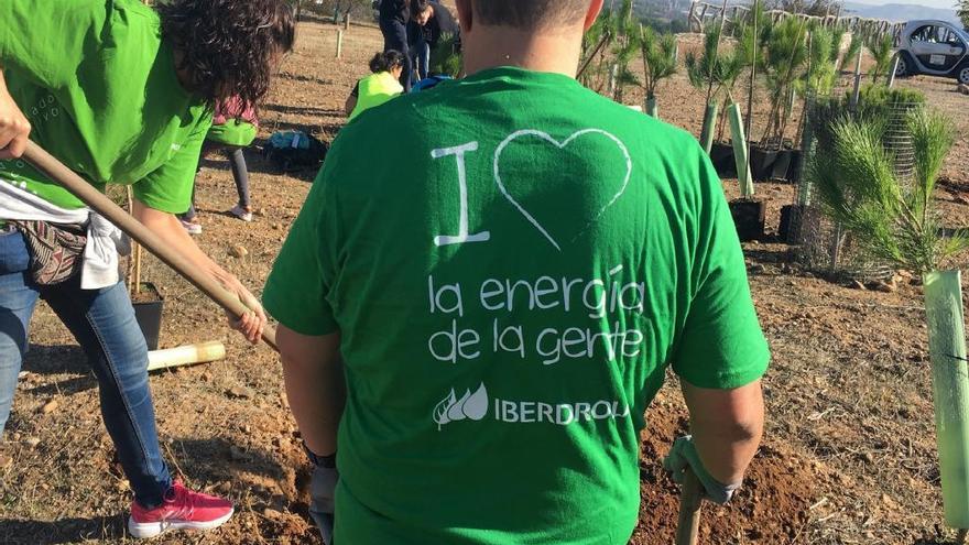 El Programa Social 2020 de Iberdrola promoverá la participación de 700 voluntarios en España