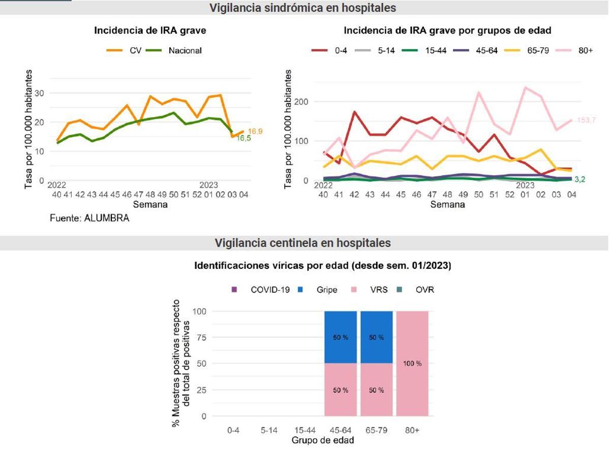 Situación de los pacientes ingresados en hospitales por virus respiratorios