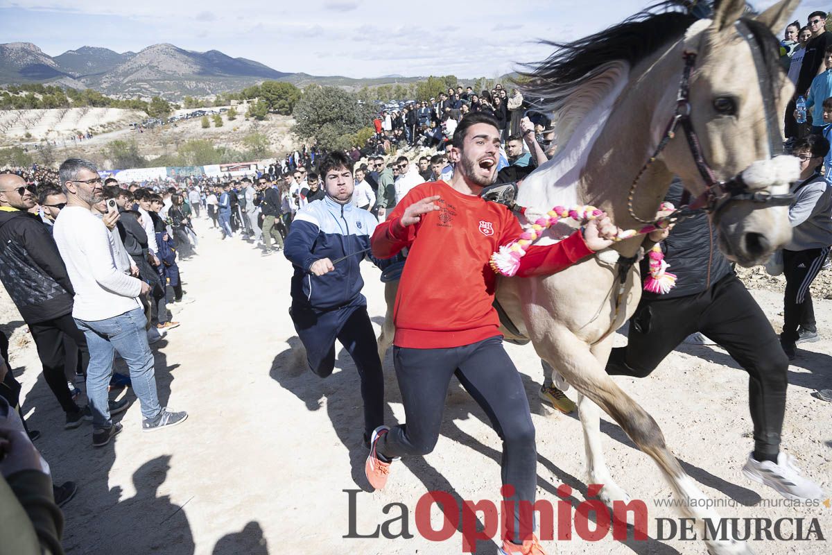 Los Caballos del Vino de Caravaca calientan motores