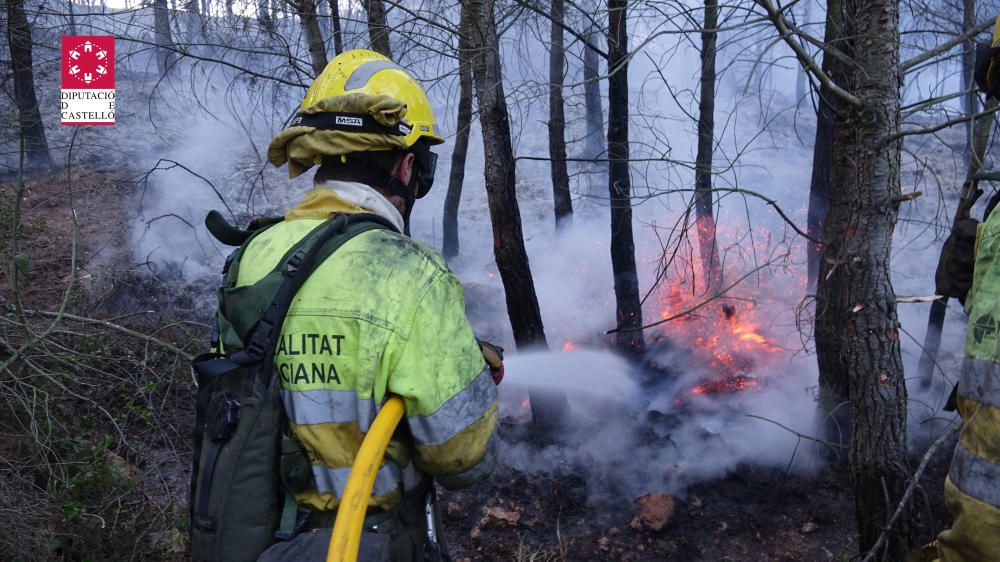 Incendio forestal en Cabanes