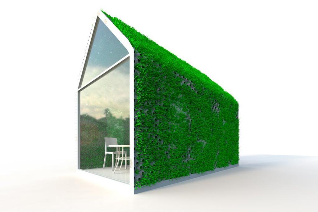 Exterior con plantas.